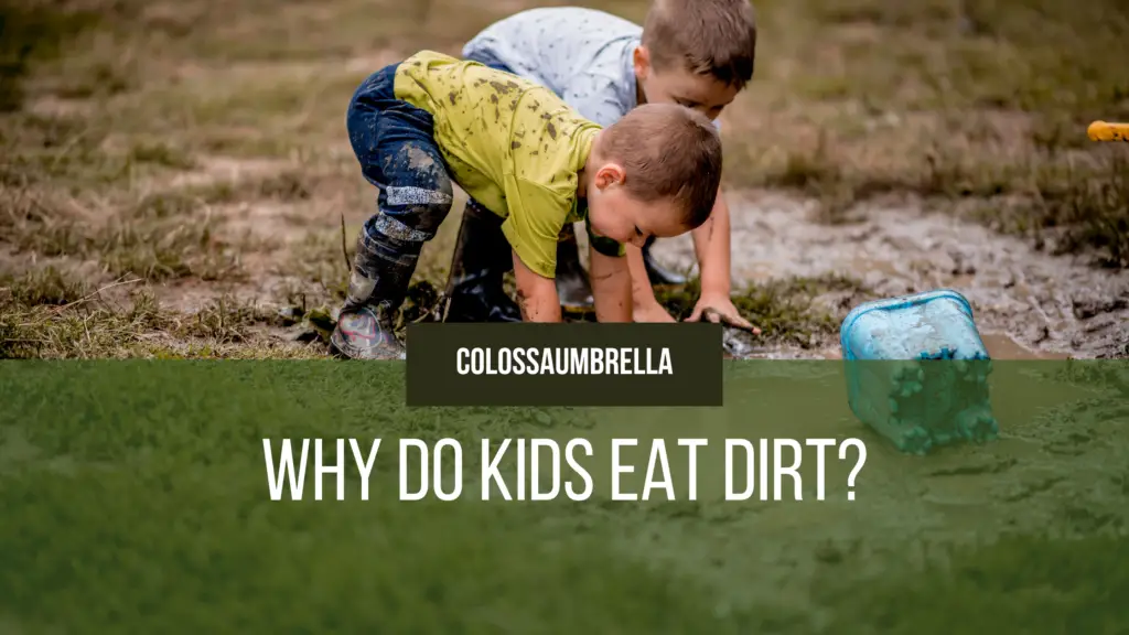 Why Do Kids Eat Dirt?