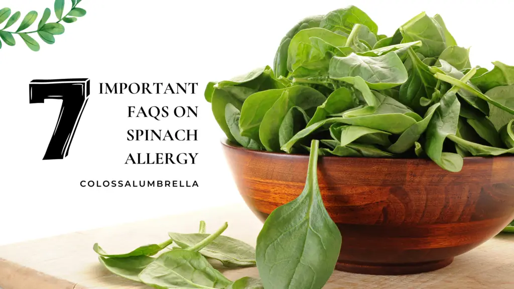 allergic to spinach