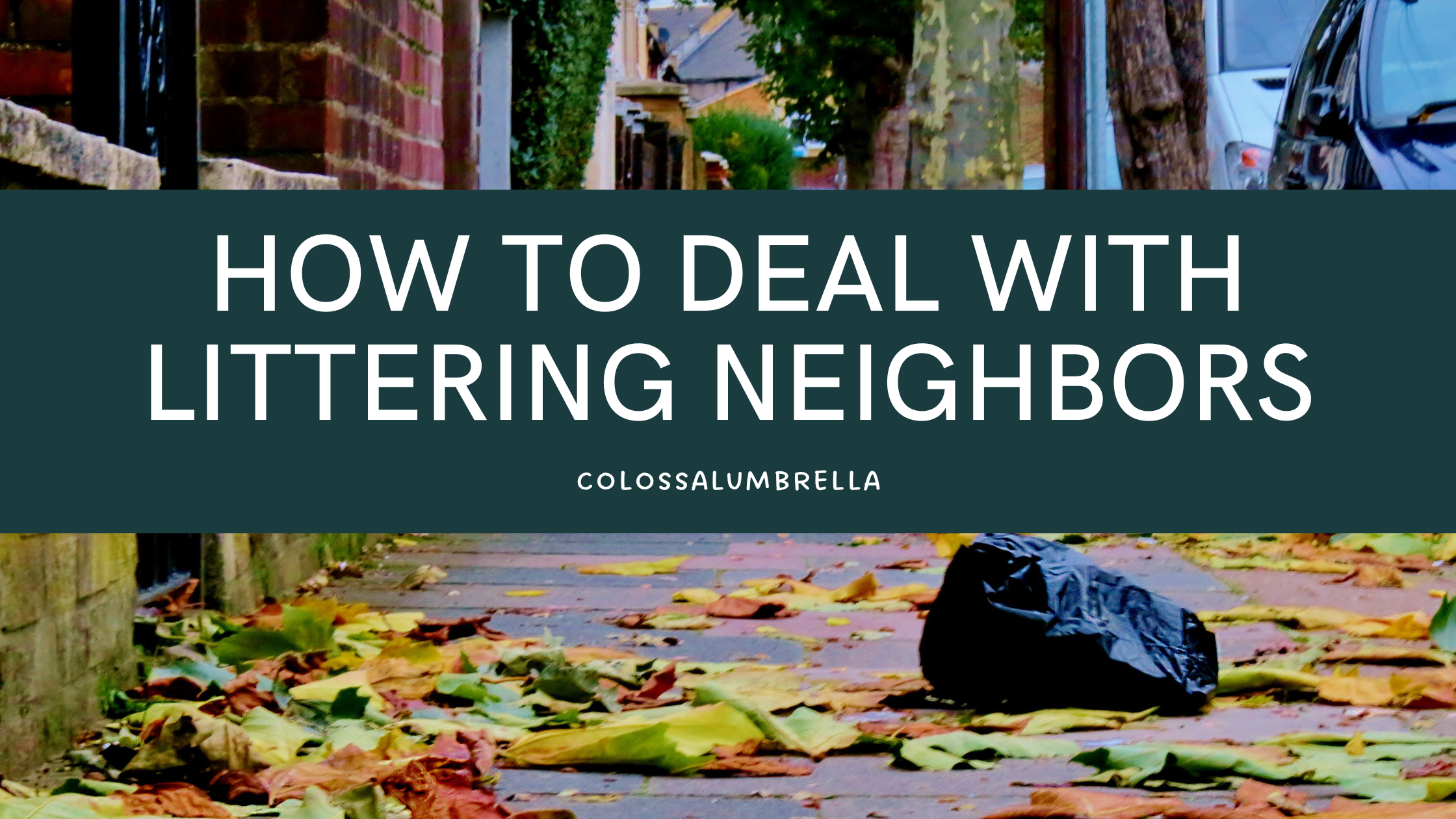 how to deal with littering neighbors