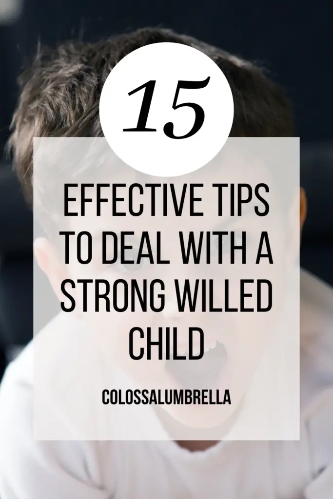 how to deal with a strong willed child