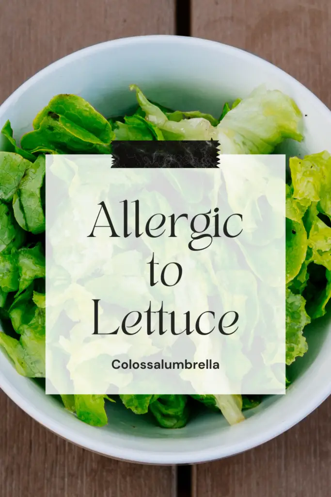Allergic to Lettuce
