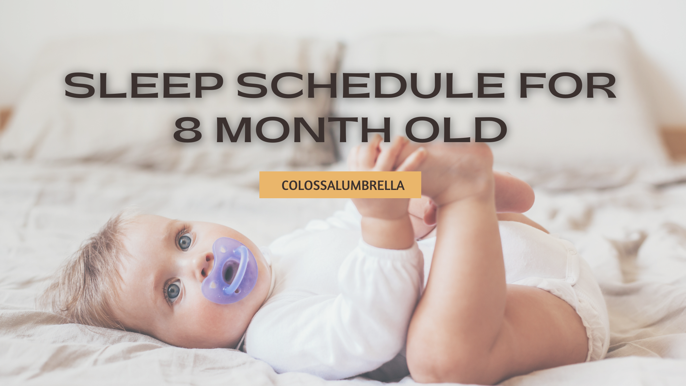 How much should an 8 month old sleep? (Free Schedule Printable)