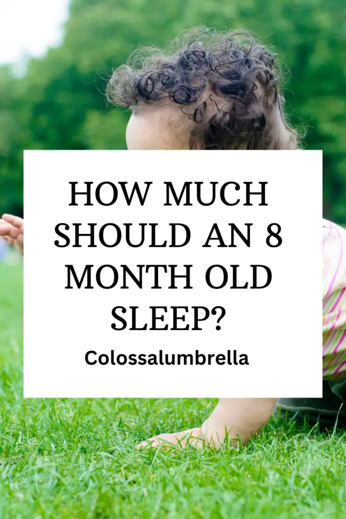 how much should an 8 month old sleep