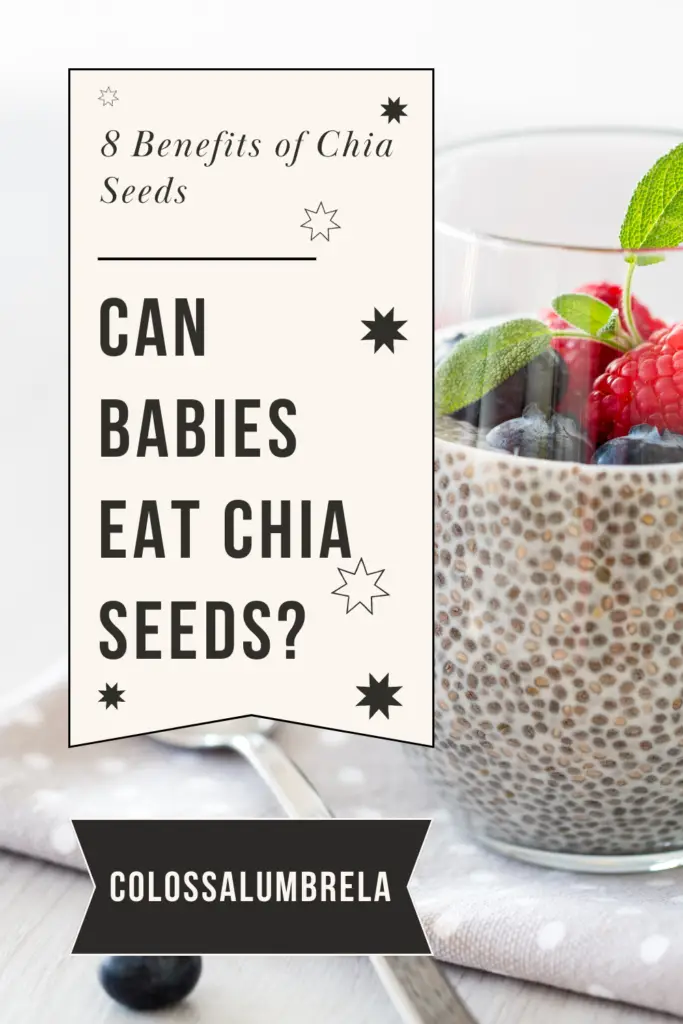Can Babies Eat Chia Seeds - Colossalumbrella