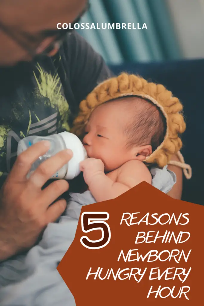 5 Reasons Behind Newborn Frequent Feeding