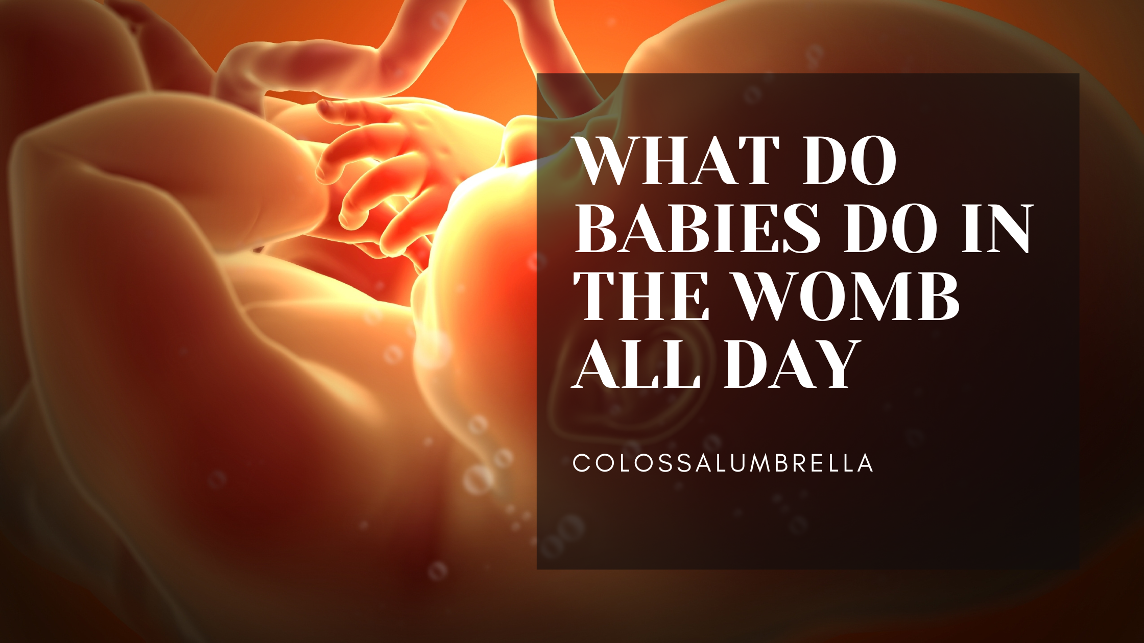 What Do Babies Do in the Womb All Day for 9 months! Easy Guide