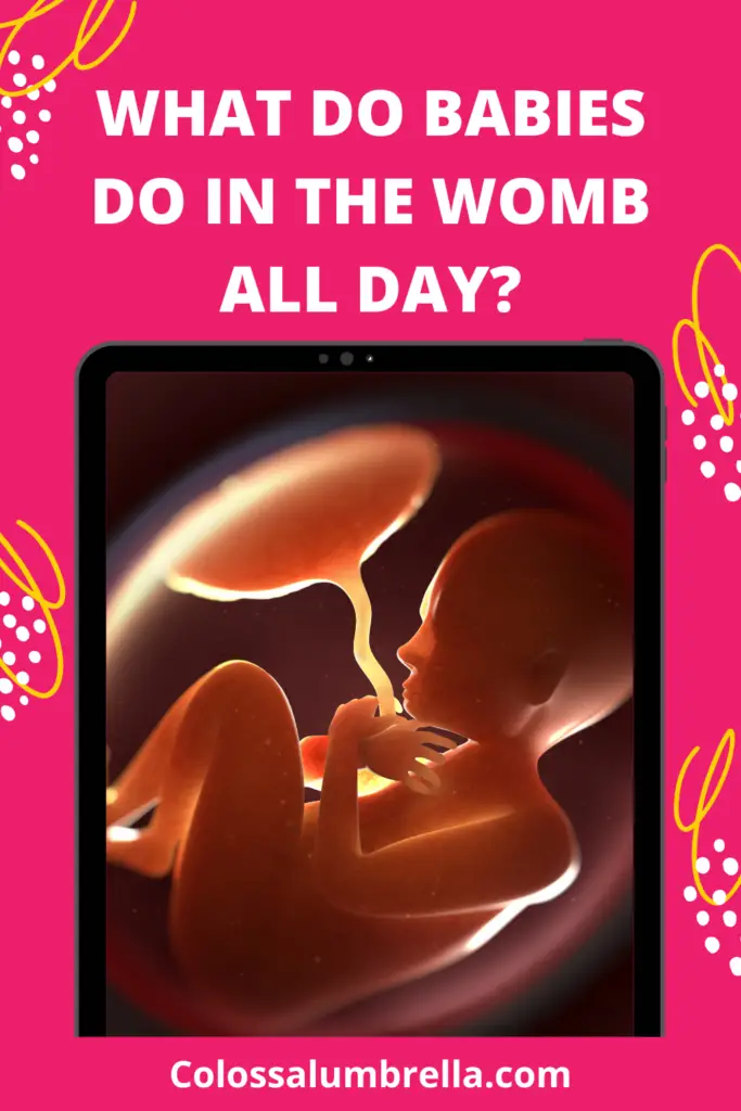 Discover what do babies do in the womb all day?