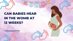 can babies hear in the womb at 12 weeks - Complete Journey