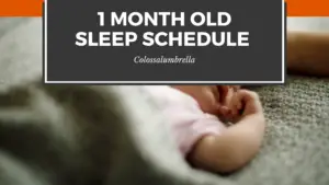 a simple eat, play and sleep - 1 month old sleep schedule