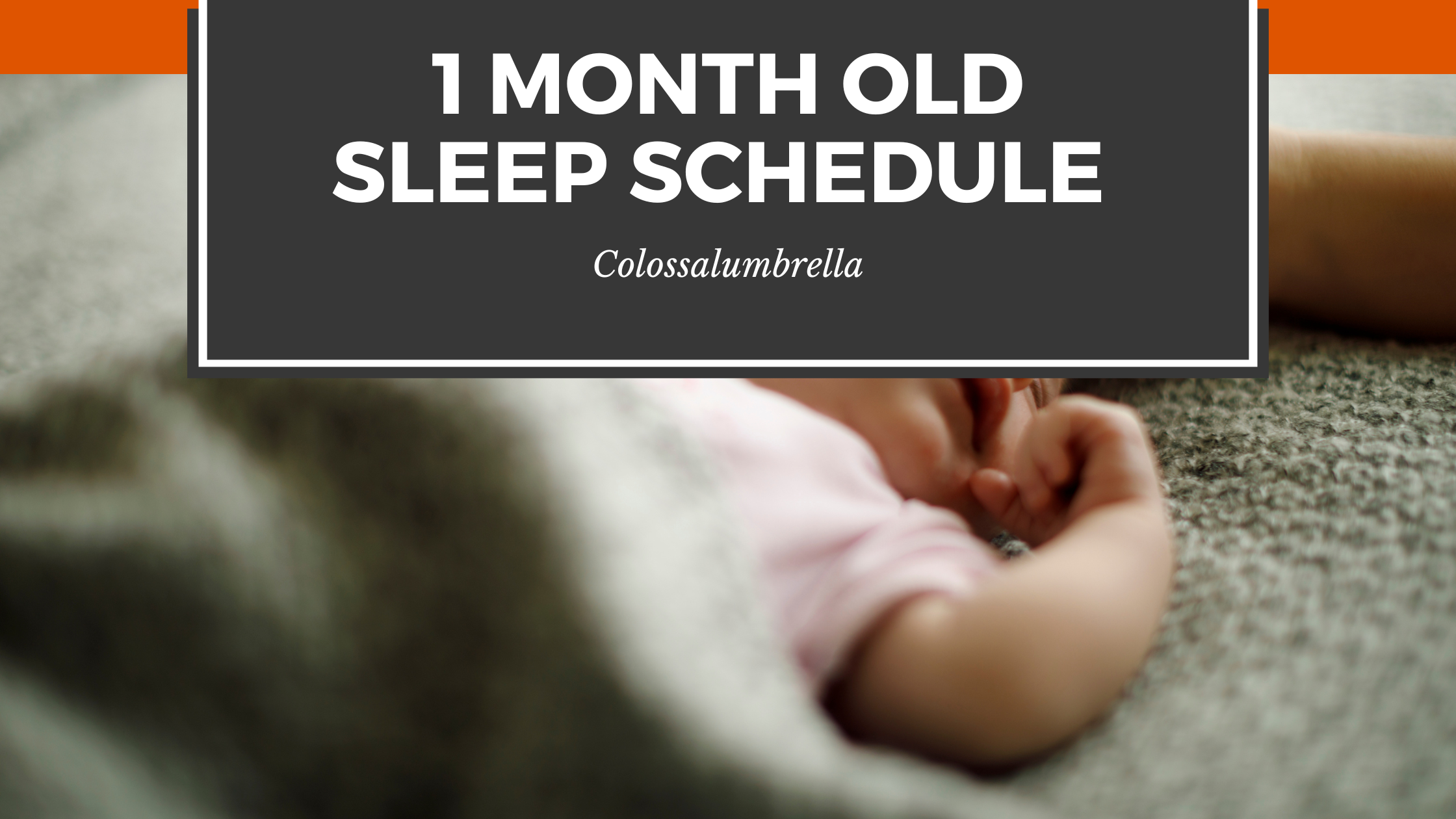 Simple 1 month old sleep schedule Printable