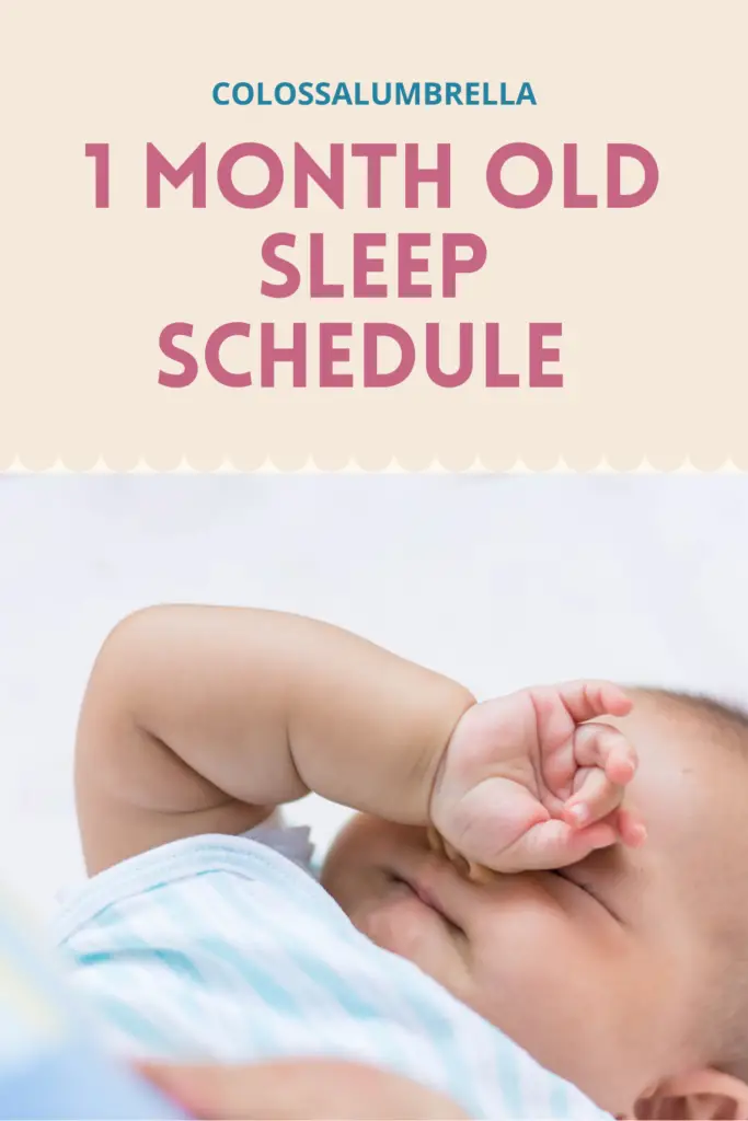 Eat, Play and Sleep - 1 month old sleep schedule