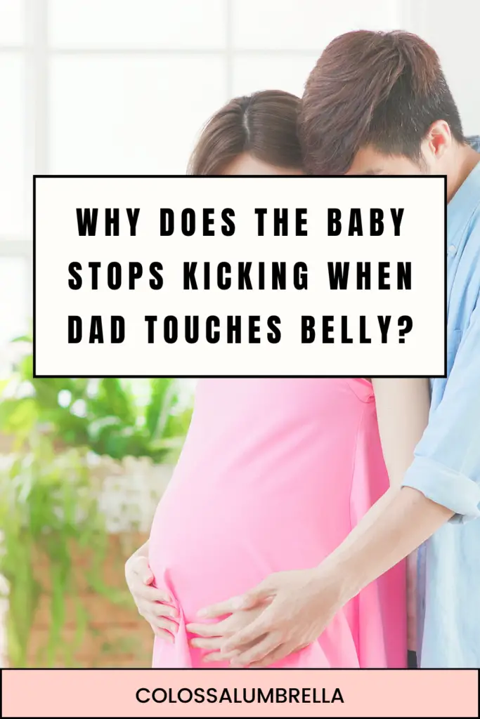 Why does the Baby Stops kicking when dad touches Belly